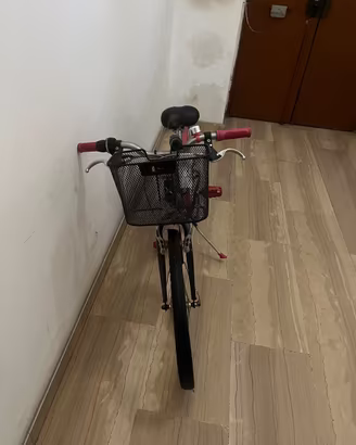 Bicicletta