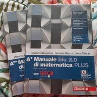 Manuale blu di matematica