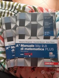 Manuale blu di matematica