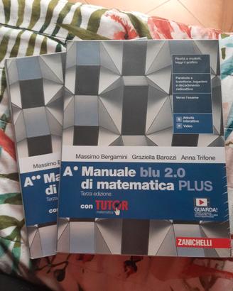 Manuale blu di matematica