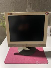 Monitor 15 pollici