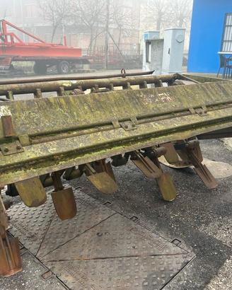 vangatrice Celli modello NG10255