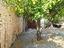 Immagine 12