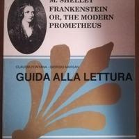 Mary Shelley,Frankenstein or the modern Prometheus