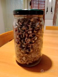 BULLONI NUOVI IN ACCIAIO INOX 