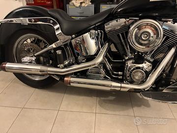 Harley softail