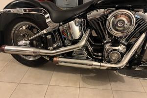 Harley softail