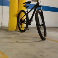 bici whelly bike 29