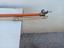 Immagine 5