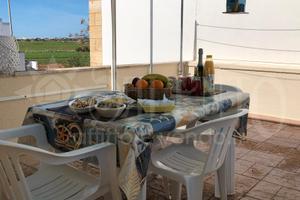 Cv120 TORRE PALI a AGOSTO 15/29 DISPONIBILE