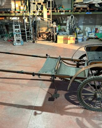 Carrozza per Cavallo