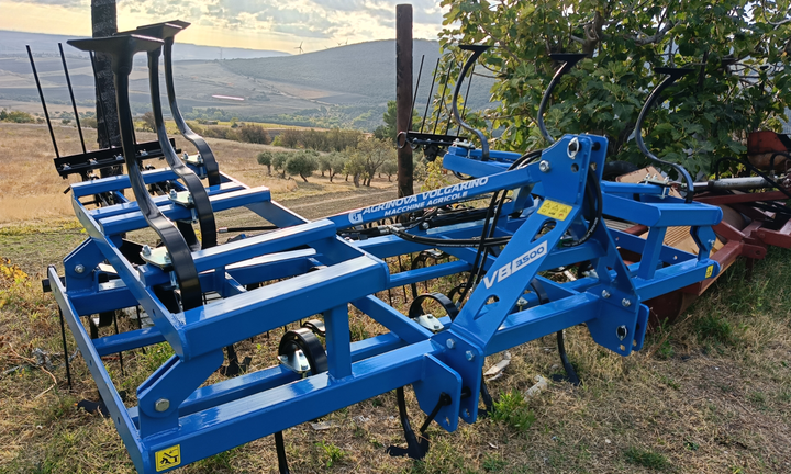 Vibrocultore volgarino