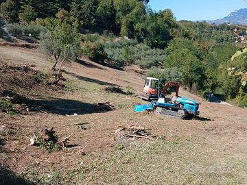 Terreno agricolo