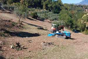 Terreno agricolo