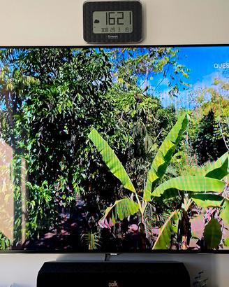 TV Samsung 65" UE65F8000