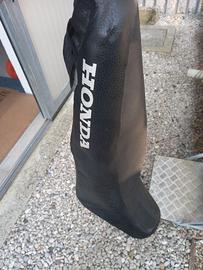 Coprisella moto