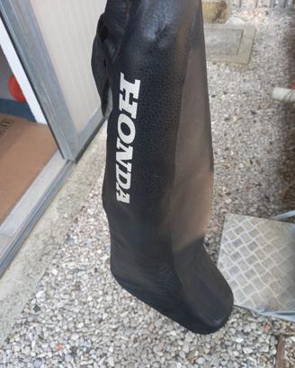 Coprisella moto