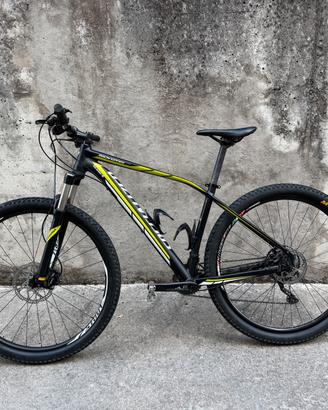 MTB Specialized 29L