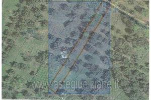 Terreno Agricolo Castel Frentano [A4337512]