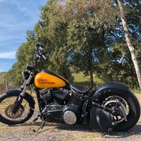 Harley Davidson Softail blackline