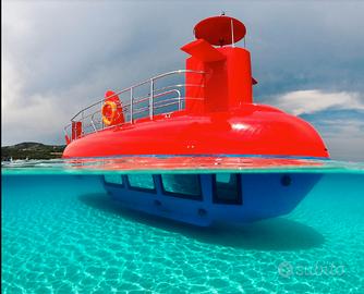 Imbarcazione turistica trasporto passeggeri 9mt