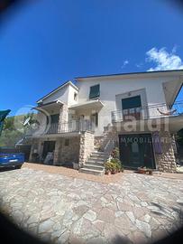 Duplex Foligno [GRIM2928VRG]