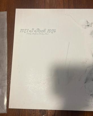 Vinile da collezione Pooh 1971-1974