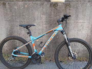 Bici olympia taglia M