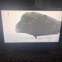 TV Samsung 32 pollici