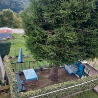 Appartamento con giardino e orticello