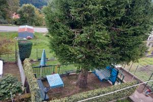 Appartamento con giardino e orticello