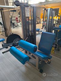 Leg curl seduto