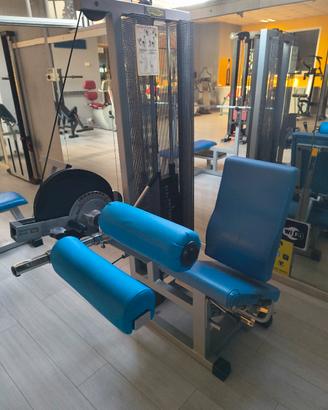 Leg curl seduto