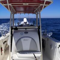 Boston outrage 27