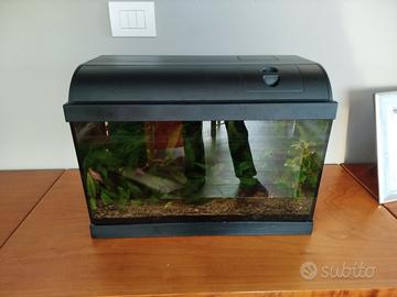 Acquario ed accessori 