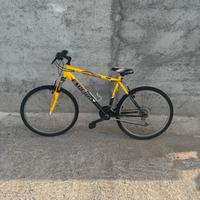 Bicicletta Mountain Bike
