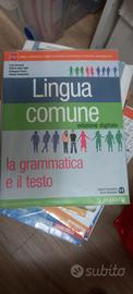 lingua comune Ed.digitale-La grammatica e il testo