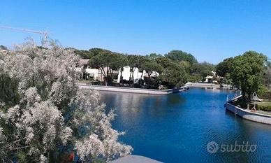 Albarella casetta fiordi