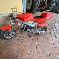 mini moto