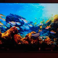 TV Samsung 55” 4K UHD (UE55CU7172U)