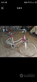  bicicletta Manfredonia donna