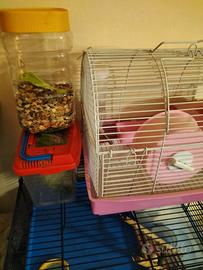 gabbiette per criceti