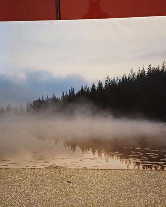 Tela grande canvas - Ikea BJÖRKSTA - 200 x 140 cm