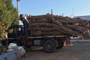 camion forestale Acm 90 