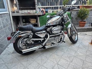 sportster 1200