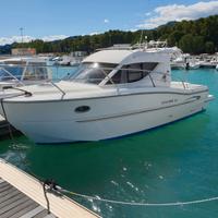 Sessa Dorado 26