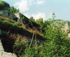 Rudere e terreno costiera amalfitana