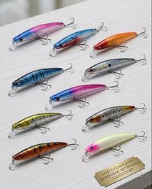 Set 10 Esche Artificiali Minnow Lungo Jerk