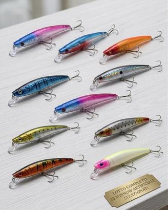 Set 10 Esche Artificiali Minnow Lungo Jerk
