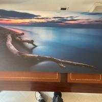 Tela Panoramica  “Tronchi al Tramonto” - stampa